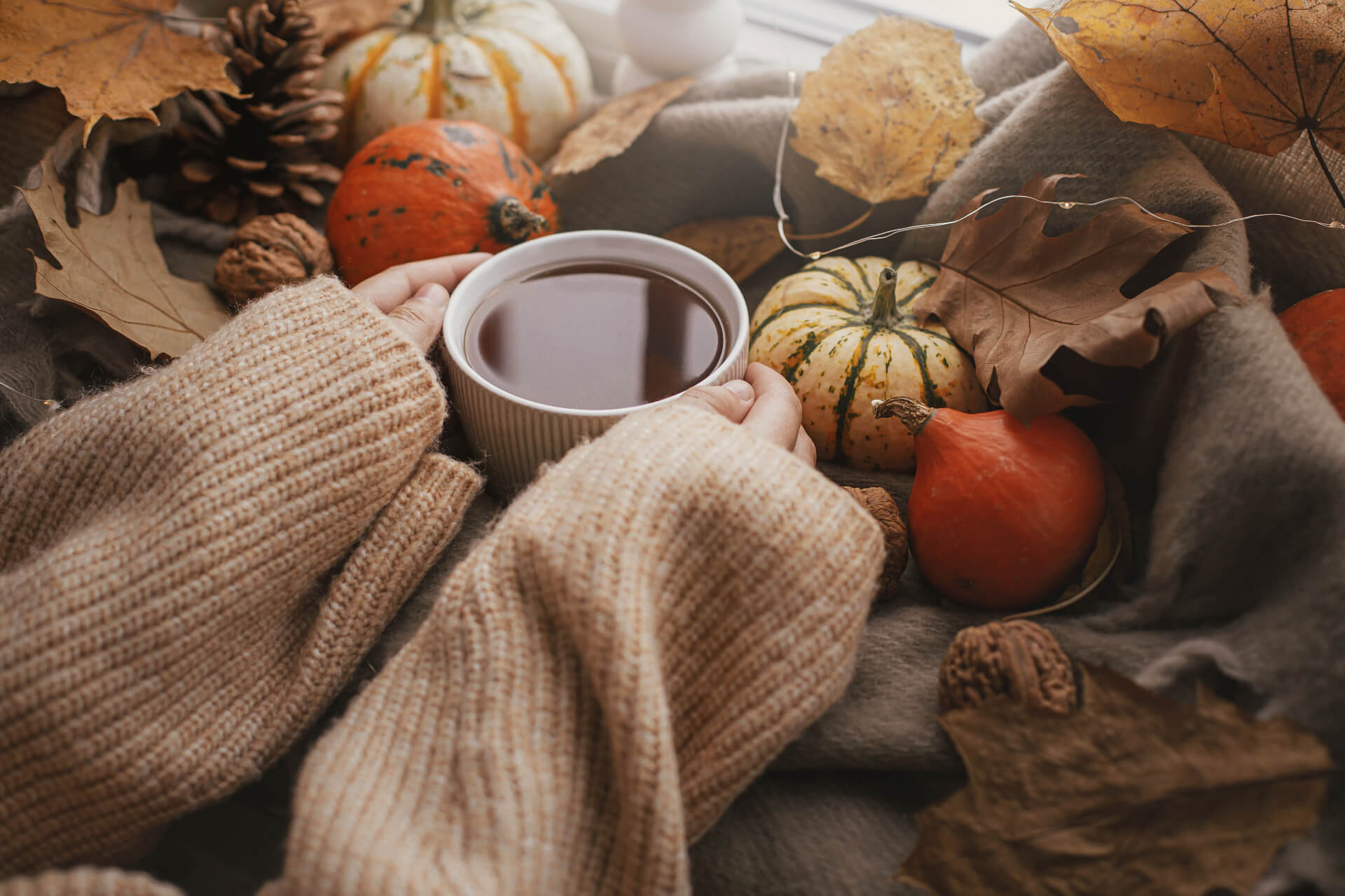 Der Herbst in seiner vollen Pracht: Erlebe besondere Momente mit Freunden, probiere regionale Köstlichkeiten & löse spannende Rätsel!